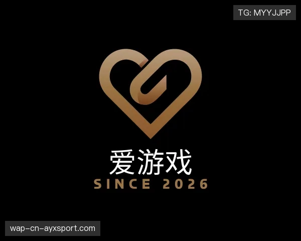 关于爱游戏世界杯